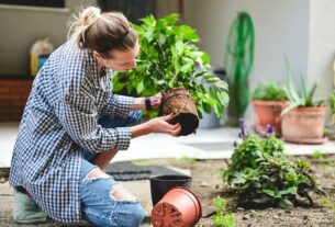 Como fazer horta pequena em apartamento