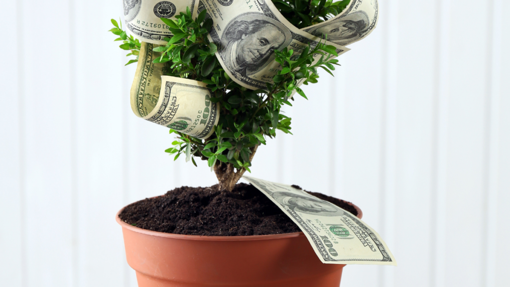 Plantas que Atraem Prosperidade em 2026
